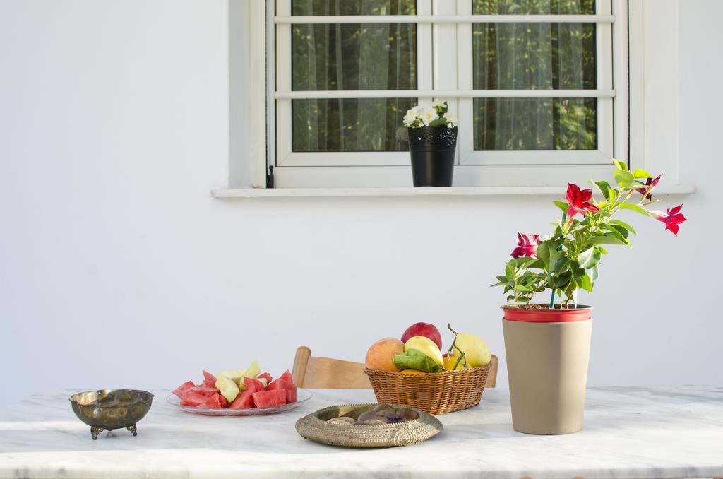 Garden House Palaio Faliro Aten Exteriör bild